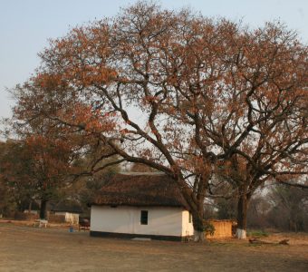 Kafwala Lodge